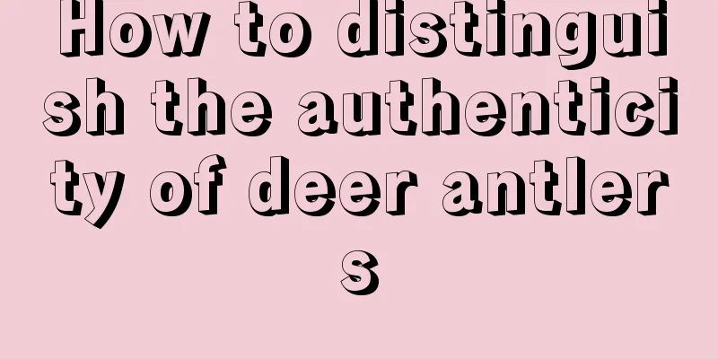 How to distinguish the authenticity of deer antlers