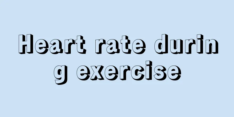 Heart rate during exercise