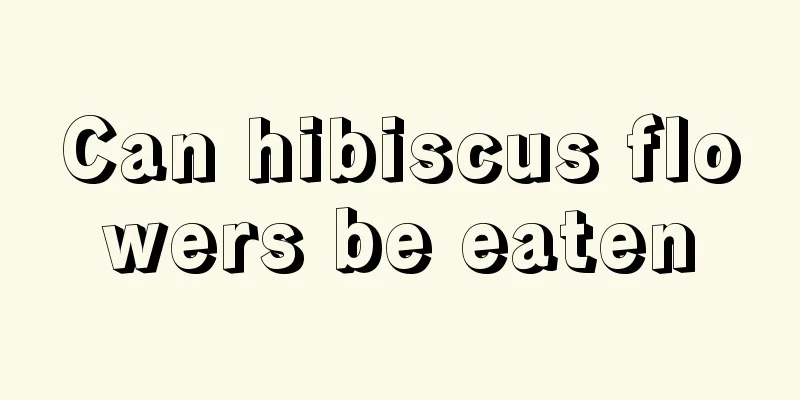 Can hibiscus flowers be eaten