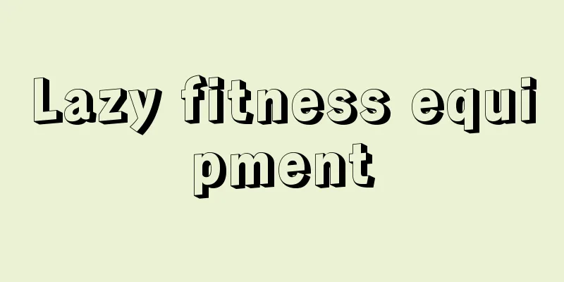 Lazy fitness equipment