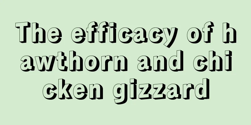 The efficacy of hawthorn and chicken gizzard