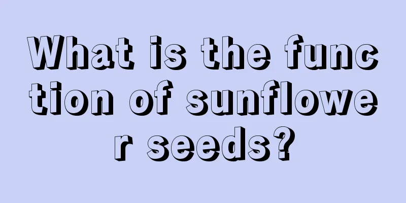 What is the function of sunflower seeds?