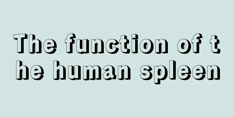 The function of the human spleen