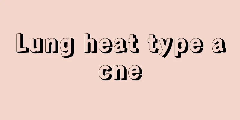 Lung heat type acne