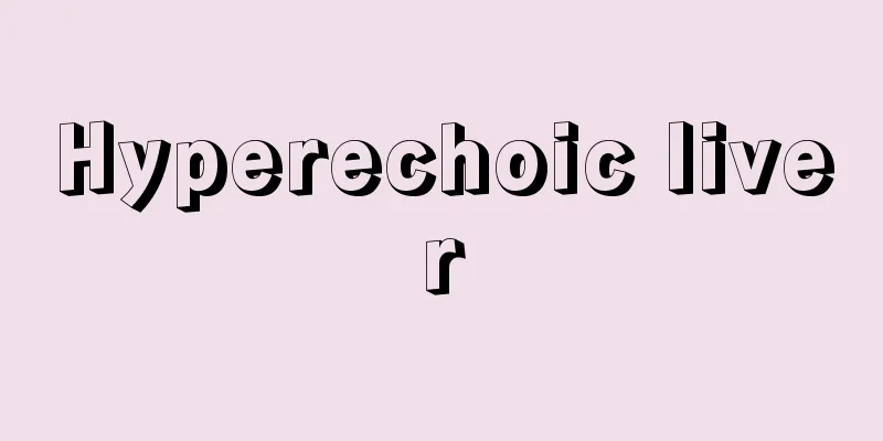 Hyperechoic liver
