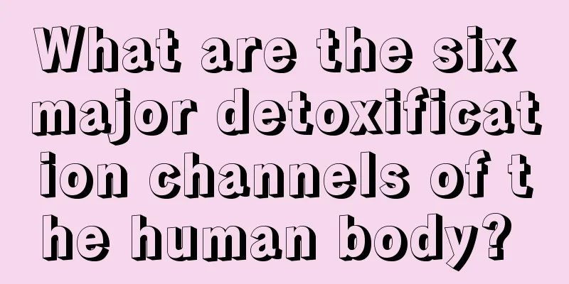 What are the six major detoxification channels of the human body? 