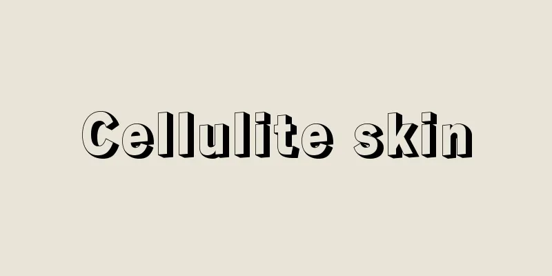 Cellulite skin