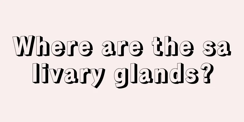 Where are the salivary glands?