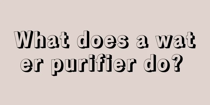 What does a water purifier do? 
