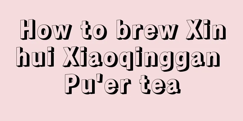 How to brew Xinhui Xiaoqinggan Pu'er tea
