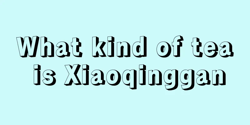 What kind of tea is Xiaoqinggan