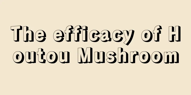 The efficacy of Houtou Mushroom