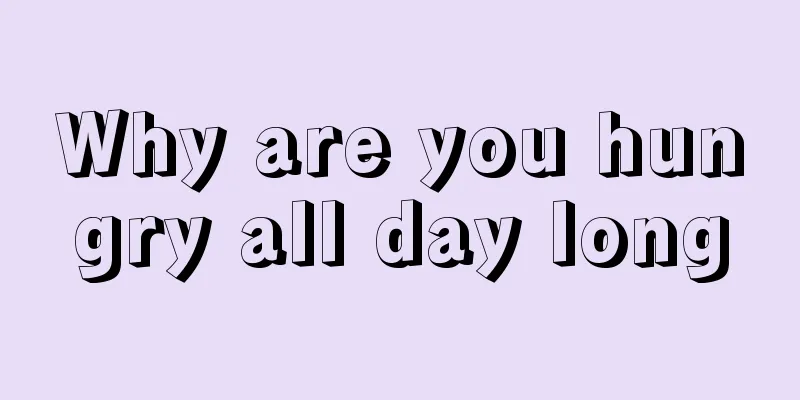 Why are you hungry all day long