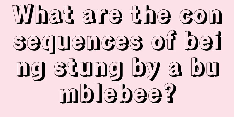 What are the consequences of being stung by a bumblebee?