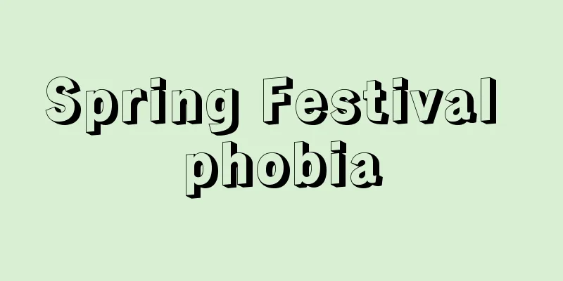 Spring Festival phobia