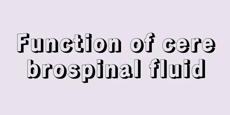 Function of cerebrospinal fluid
