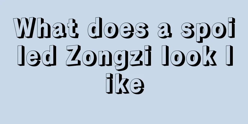 What does a spoiled Zongzi look like