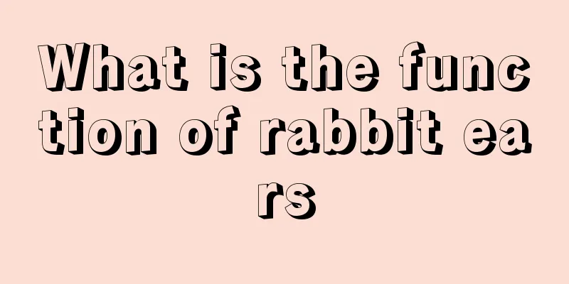 What is the function of rabbit ears