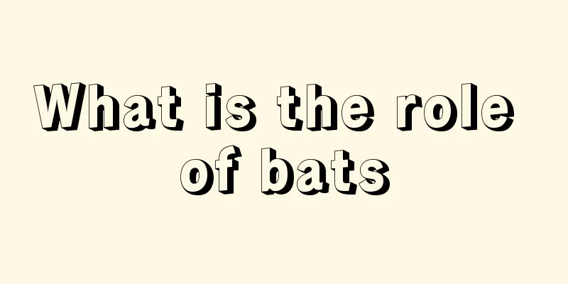 What is the role of bats