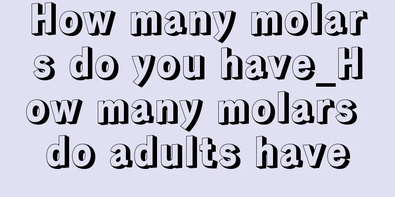 How many molars do you have_How many molars do adults have