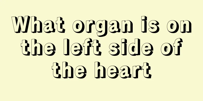 What organ is on the left side of the heart