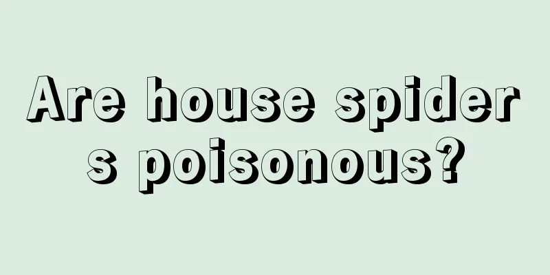 Are house spiders poisonous?