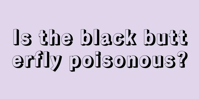 Is the black butterfly poisonous?