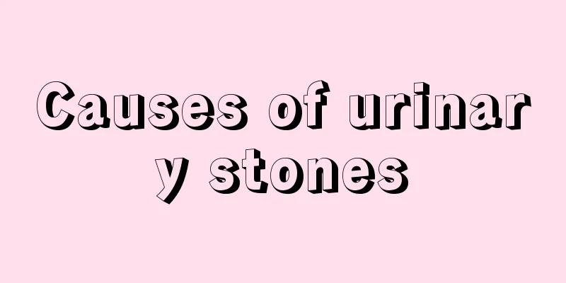 Causes of urinary stones