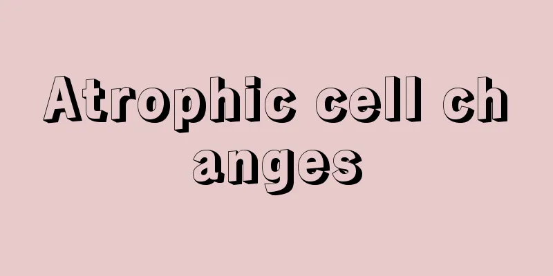 Atrophic cell changes