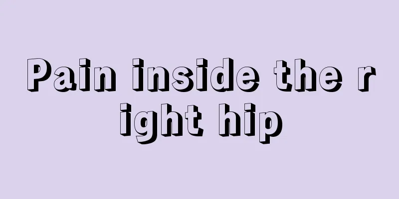 Pain inside the right hip