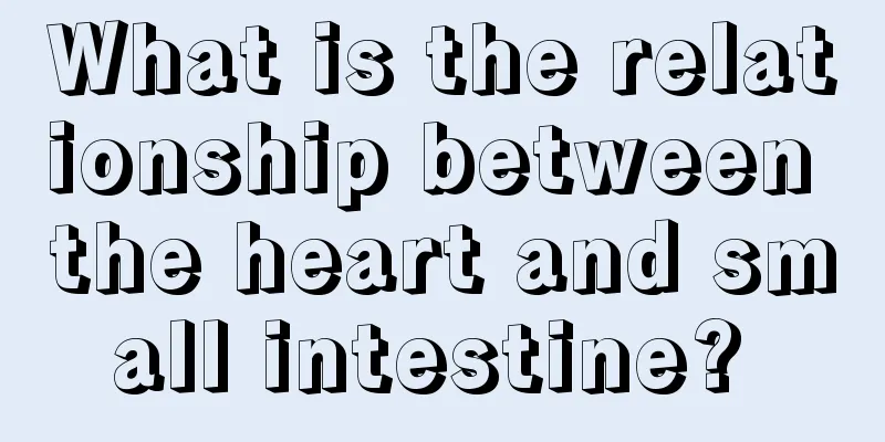 What is the relationship between the heart and small intestine? 