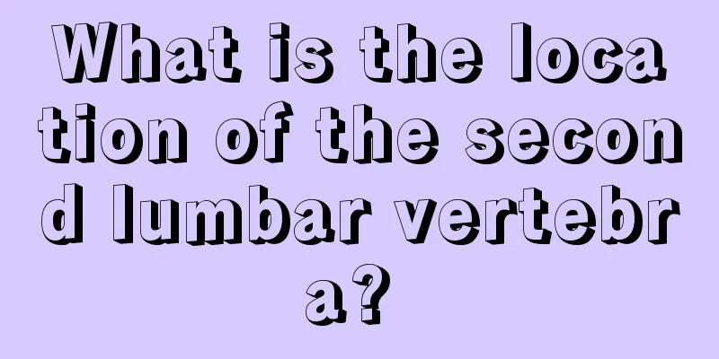 What is the location of the second lumbar vertebra? 