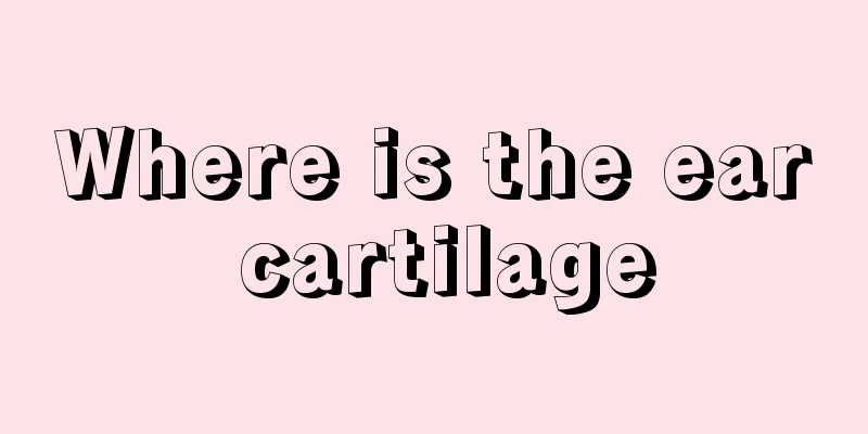 Where is the ear cartilage