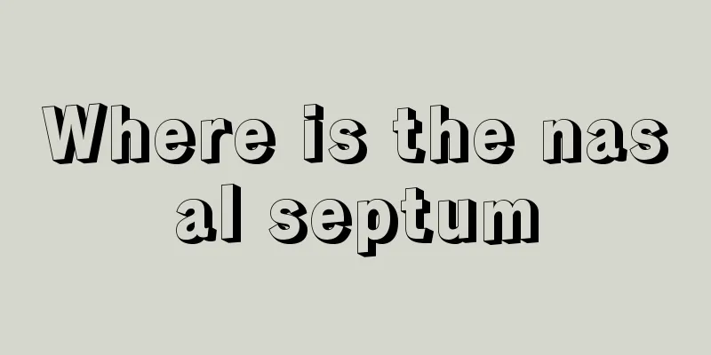 Where is the nasal septum