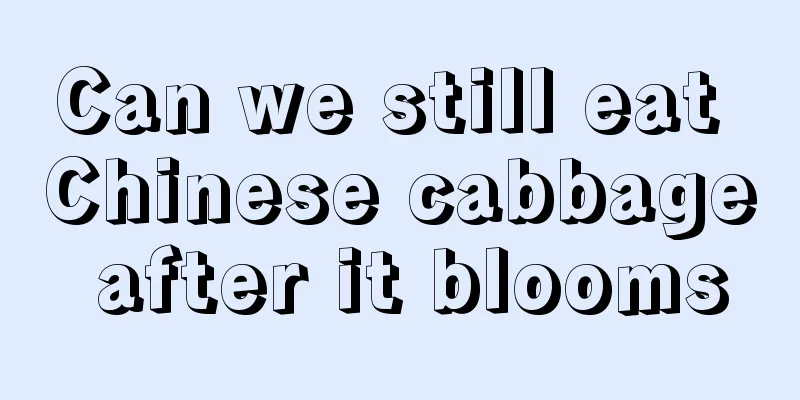 Can we still eat Chinese cabbage after it blooms