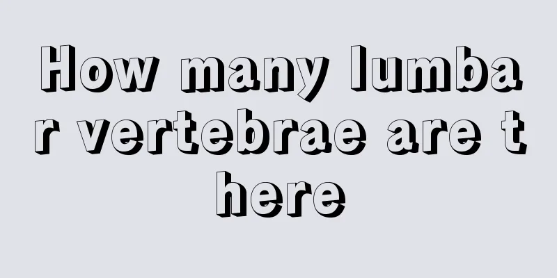 How many lumbar vertebrae are there