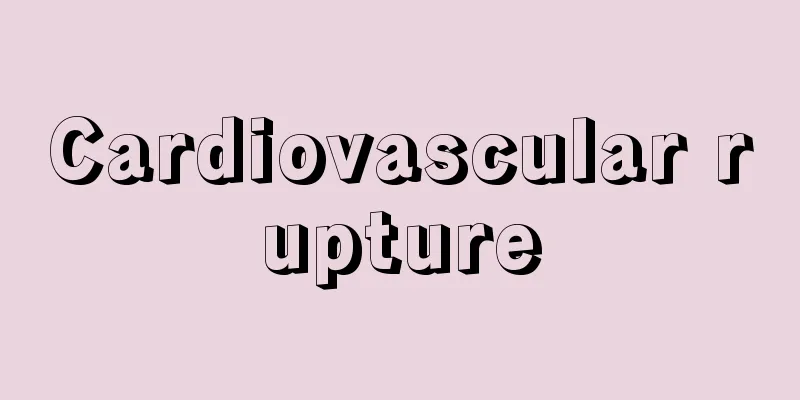 Cardiovascular rupture