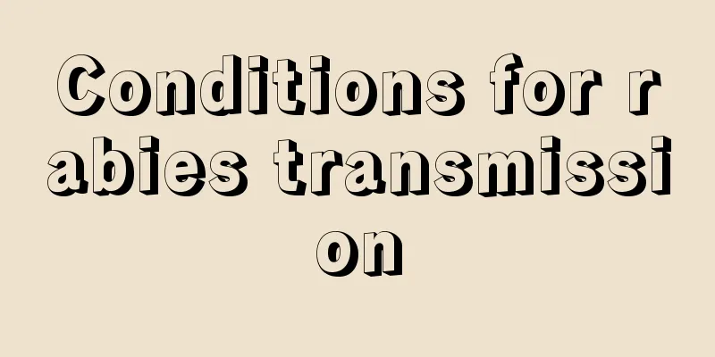 Conditions for rabies transmission