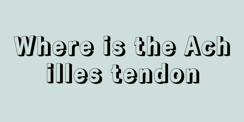 Where is the Achilles tendon
