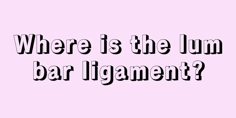 Where is the lumbar ligament?