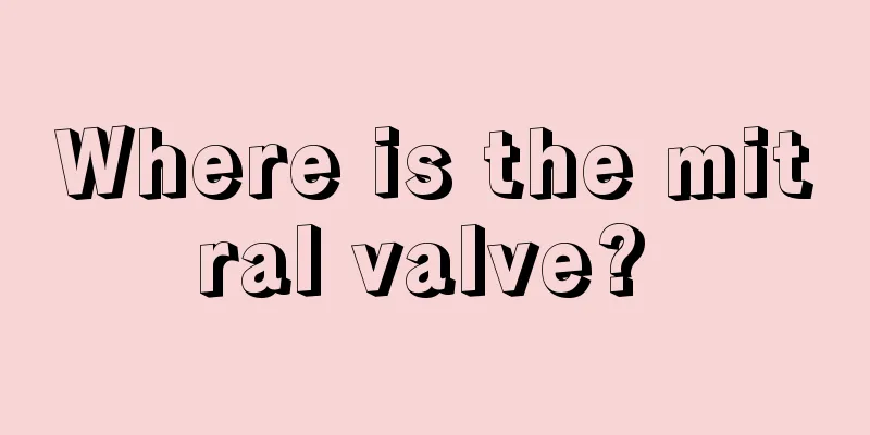 Where is the mitral valve? 