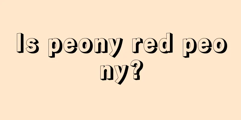 Is peony red peony?