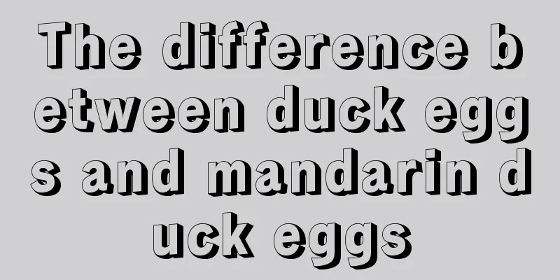 The difference between duck eggs and mandarin duck eggs