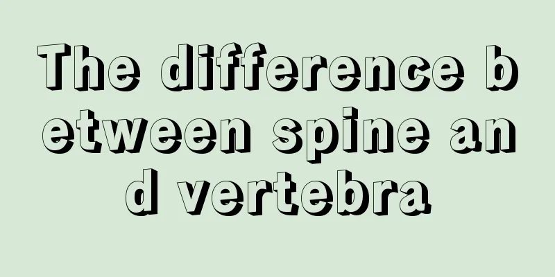 The difference between spine and vertebra