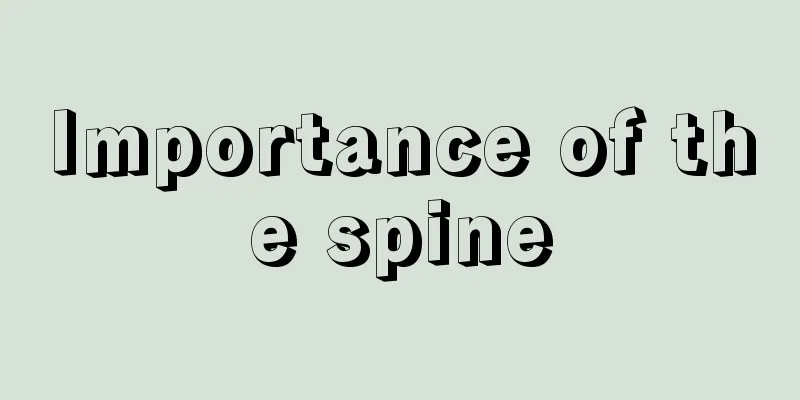 Importance of the spine