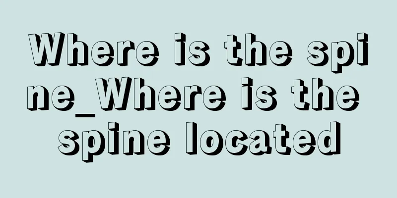 Where is the spine_Where is the spine located