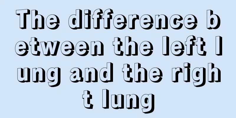 The difference between the left lung and the right lung