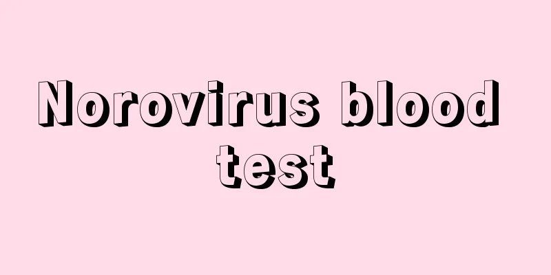 Norovirus blood test