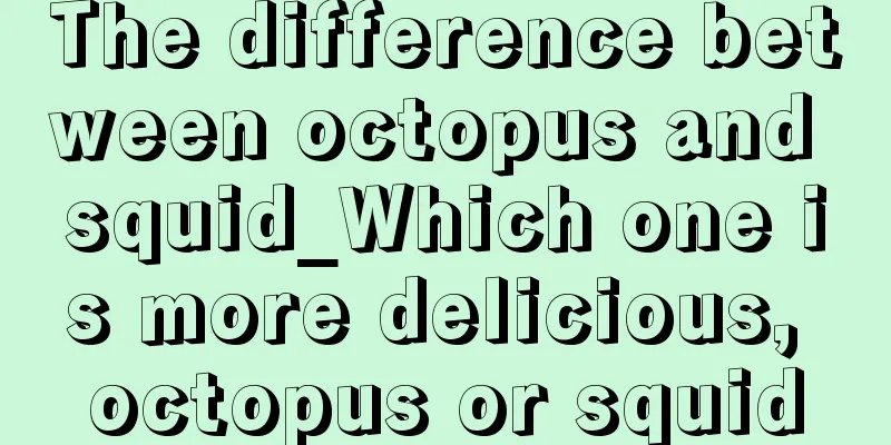 The difference between octopus and squid_Which one is more delicious, octopus or squid