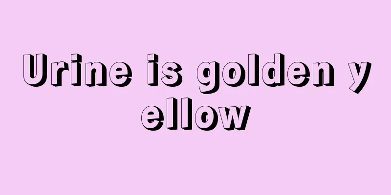 Urine is golden yellow